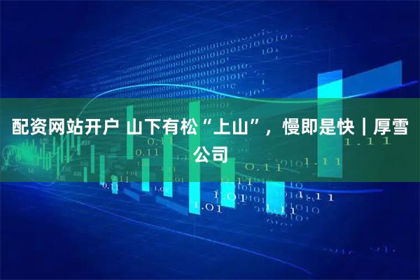 配资网站开户 山下有松“上山”,慢即是快|厚雪公司