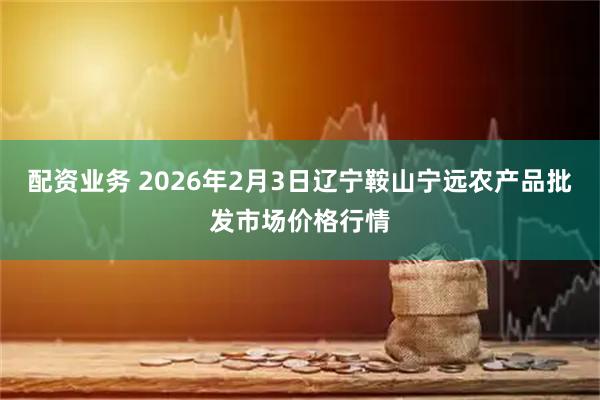 配资业务 2026年2月3日辽宁鞍山宁远农产品批发市场价格行情